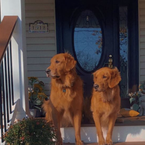 Empty Nesters